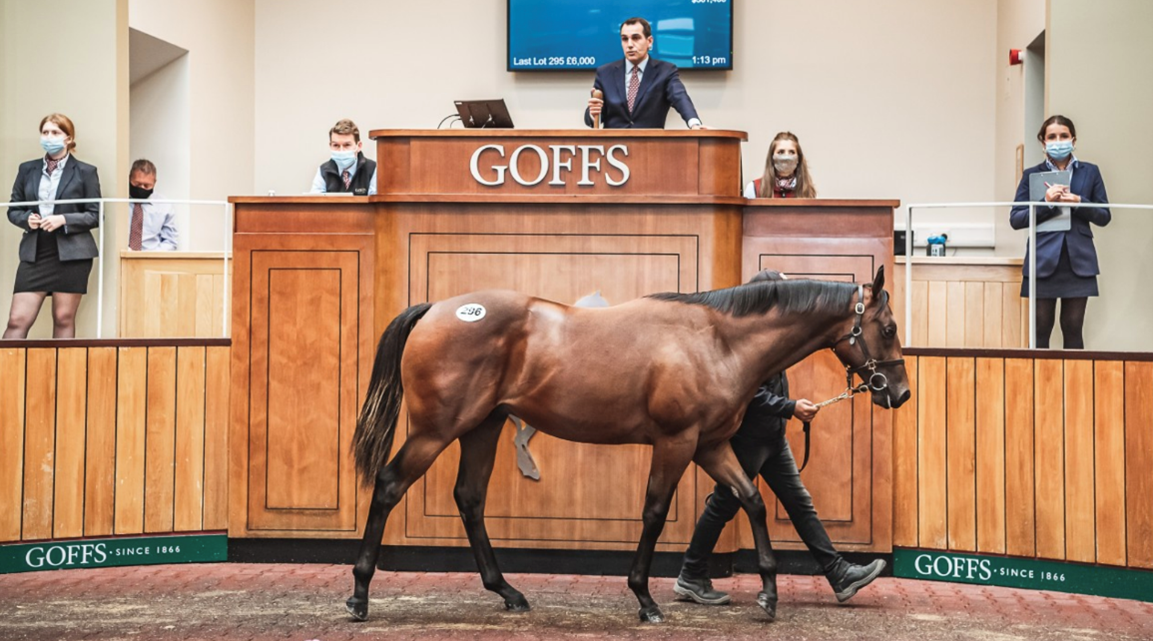 Harry Angel yearling colt tops Goffs Premier Yearling Sale Australia